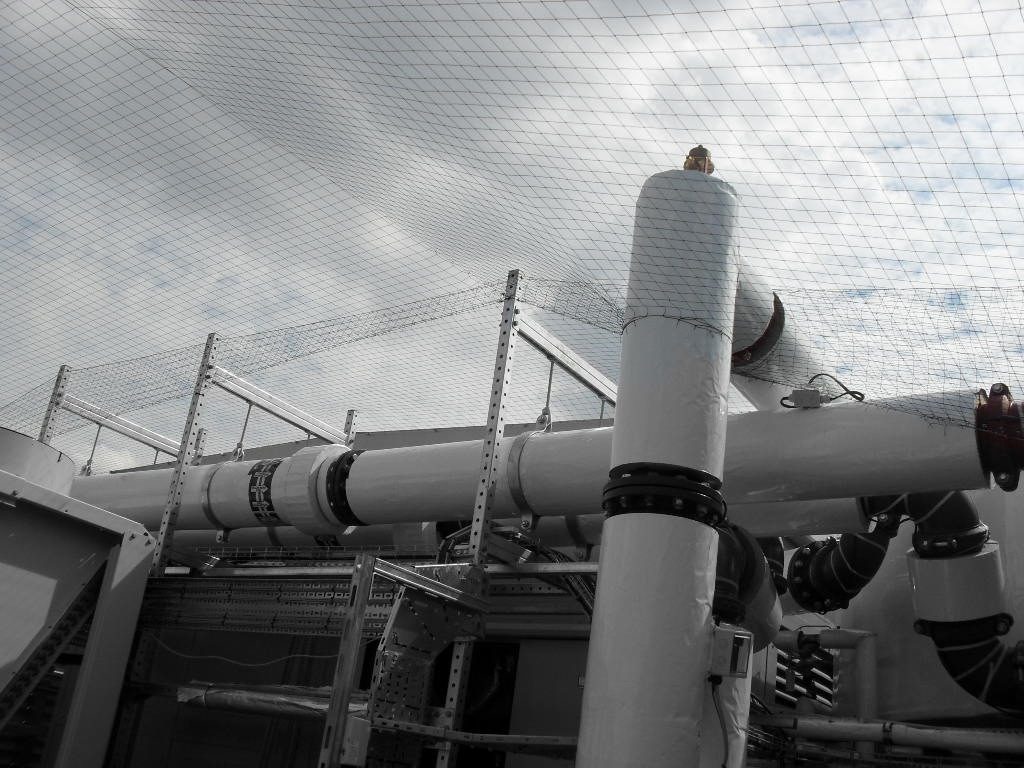 Bird Control in Doncaster, South Yorkshire